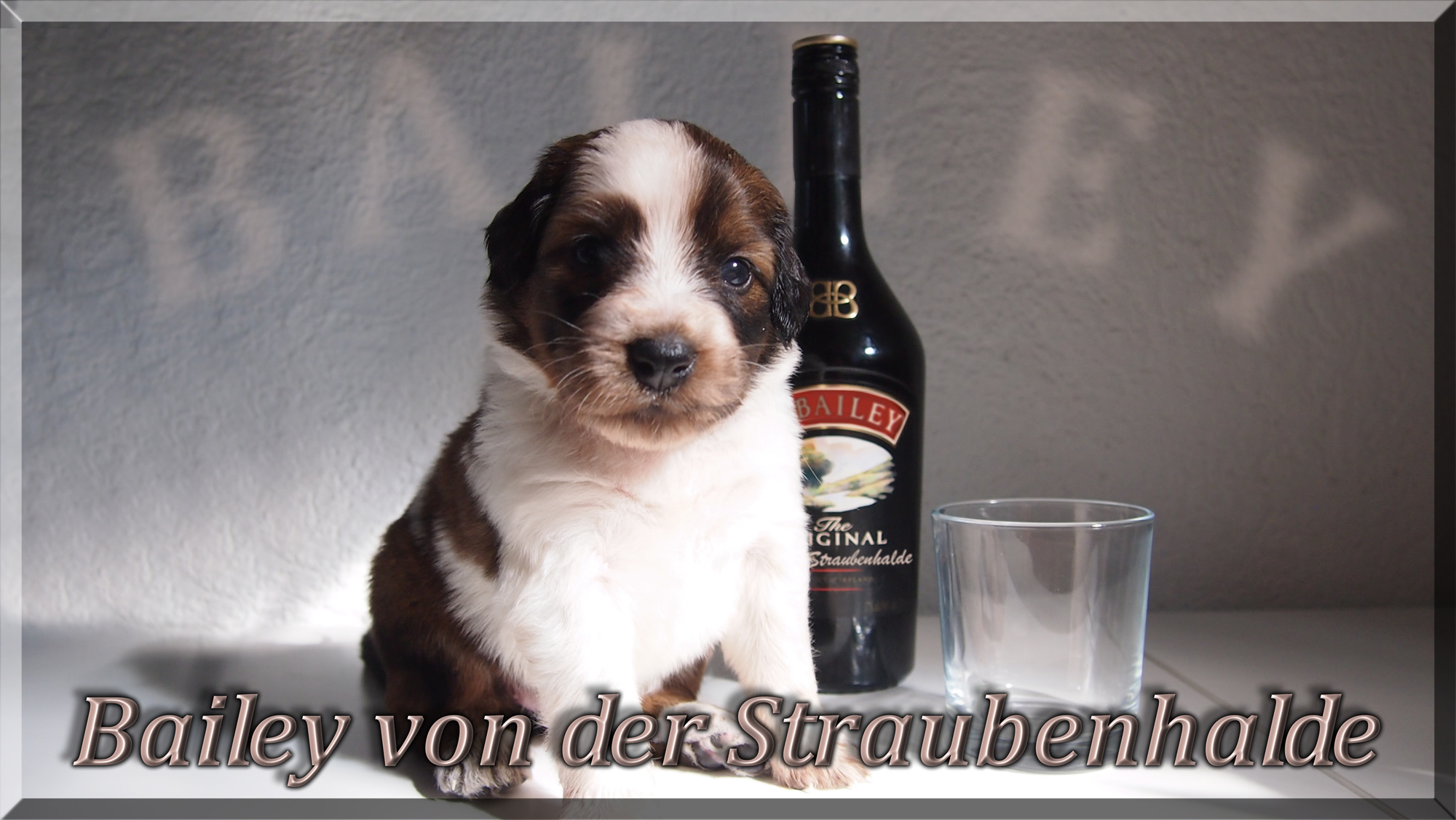 Wäller von der Straubenhalde